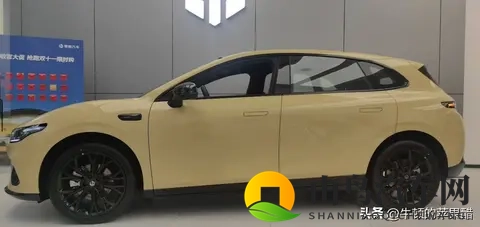 Lafa5-可能是新生代的电动高尔夫-2