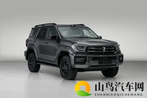 糟老头至尊版：简约豪车，8.9秒破百，20万起！-2