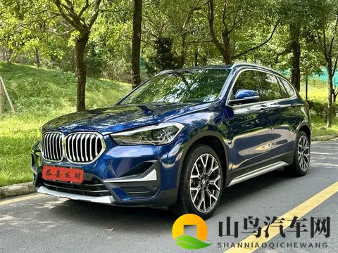 一个人看WWW：驾驶乐趣：打造专属座驾，安全环保出行-2