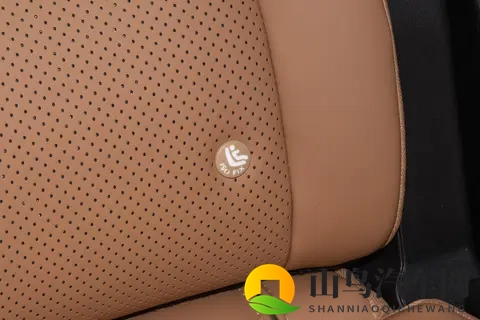 累计订单破万！768 万起+全新侧滑门，星光730好开又好坐-1