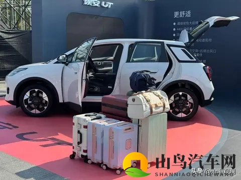 京东掀桌了!49999块的新车,刺痛了谁的神经?-3