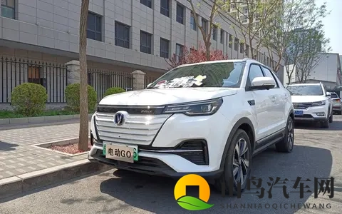 长安汽车：从历史变迁到新能源突破，独特发展路径待探讨？-2