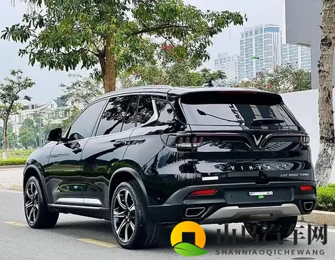 越南杀出一匹黑马！本土品牌VinFast把丰田、本田打得找不着北？-2