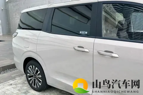 不到8万买家用大七座，油、电、混动全都有！-2