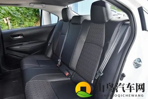 拉大车的小马我的儿子：时尚家用车，安全舒适，节能环保，你值得拥有-3