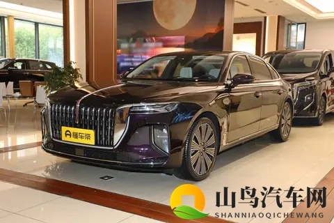 深度解析红旗H9版本差异,潜在用户该怎么选?-2