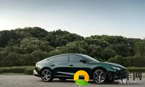 油价跳水车主静悄悄,电车吃火锅加油站长叹气,下个十年开啥车上路-1