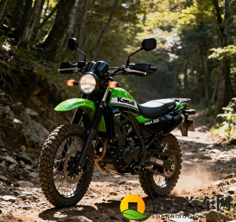 情怀与实力双加持 川崎KLE 500复活归来 搭NINJA 500动力平台征战中量-1