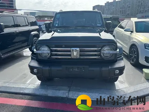 硬派越野触手可及,3万公里一手坦克300,圆你越野梦-3