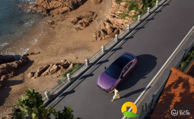 成人浏览器   网站：新能源汽车、智能驾驶，汽车保养一网打尽-1