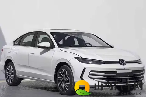 燃油党有福了!11月将上市8款燃油车,哪款是你的菜?-1