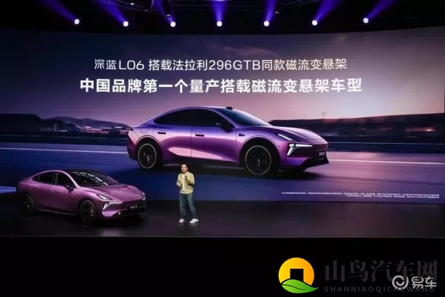 张婉莹暑假作业:暑假作业引热议:汽车市场未来趋势揭秘-1