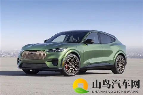 福特CEO:对特斯拉及中国造车新势力的领先水平感到惊讶-2