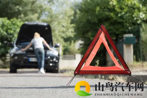 被告上法庭加调查!特斯拉突发大消息,股价开盘下跌442%-1