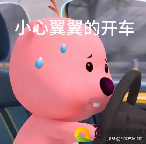 mr好色先生:汽车色彩革命,五年内超越性能竞争-1