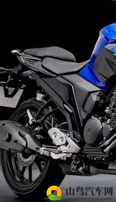 雅马哈飞致250复出 拼的不是马力 是省油能走天下的底气-3