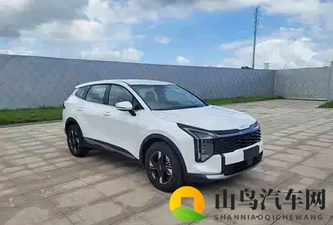 全新设计语言加持 新款起亚狮铂拓界即将亮相广州车展-2