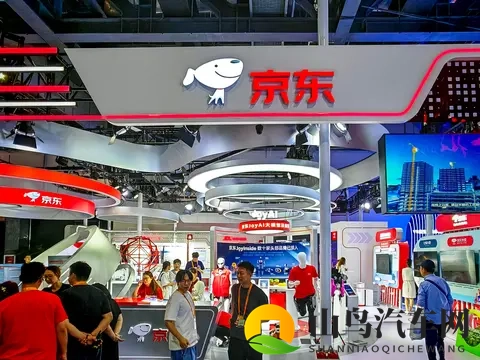 京东国民好车上市，10万元内唯一换电车，7819万元竞拍者已悔拍！-3