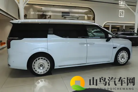 宜商宜家的极氪009,为什么成为越来越多家庭的出行伙伴?-3