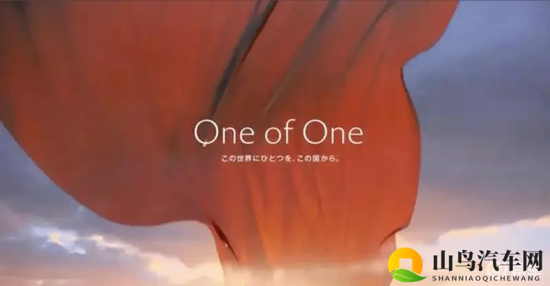 张婉莹暑假作业稀缺资源：张婉莹作业资料难得一见-1