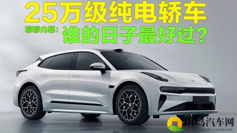 聊聊内幕：25万级纯电轿车，谁的日子最好过？-1