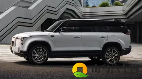 极石01车主看ADAMAS：变了这些，值不值得等？-1