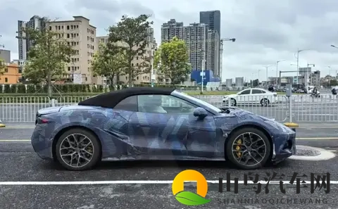 桃花直播：花间直播，浪漫绽放时光-2