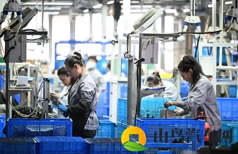 软件网站下载3.0.3免费破解版安装：车载系统暗藏致命风险,你升级了吗-2