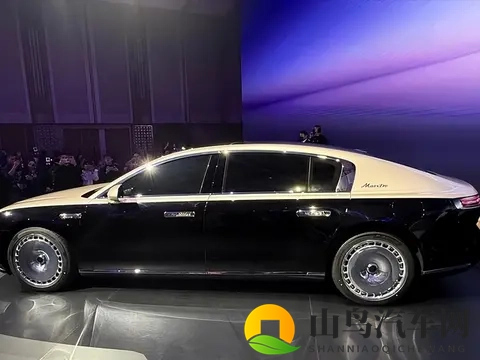 国产车撕掉车标税12000台尊界S800如何重构百万豪车游戏规则?-1