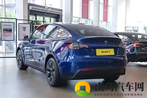 2025年SUV销量榜出炉!Model Y稳坐第一,这两款车竟成黑马-3