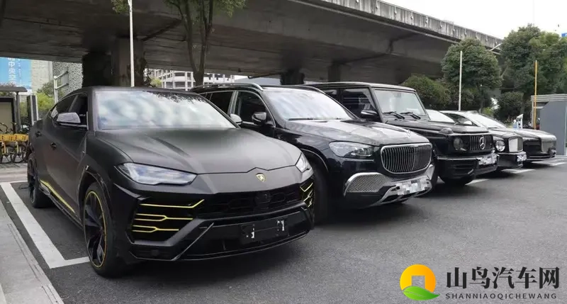 从品牌崇拜到技术认同：岚图泰山如何撬动顶级豪车用户？-1