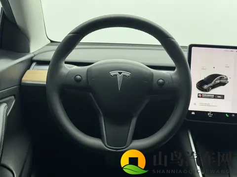 10万多拿下特斯拉Model3，体验56秒加速的快感-3