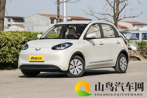 日本语亚洲老师毛茸茸：网红新玩法，汽车品牌跨界营销引关注-1