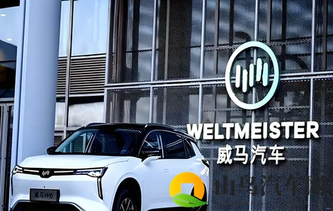 威马“物理复活”只是第一步，“市场复活”才是终极目标-3