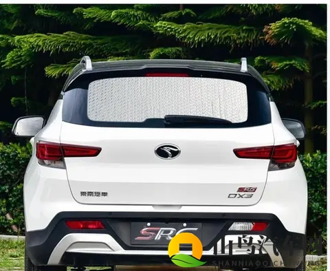 福耀与汽车领域深度合作，为什么没有布局“新能源汽车产业”？-2