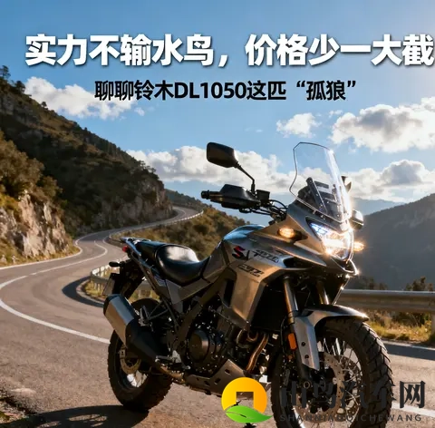 实力不输水鸟 价格少一大截 聊聊铃木DL1050这匹孤狼-1