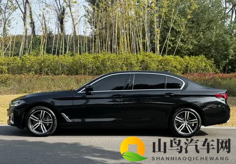 26万不到，圆你蓝天白云梦——准新宝马530Li，豪华触手可及-1