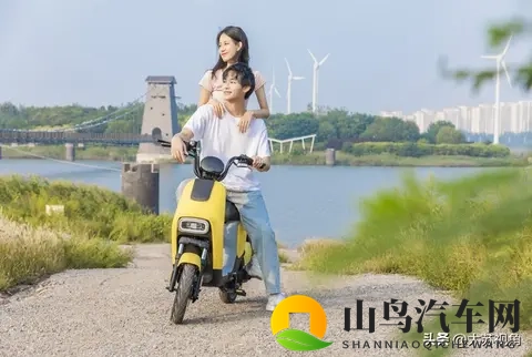 南京1月1日起小蓝牌电动车禁行,换牌还是换车?攻略请藏好-2