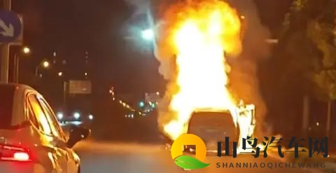 理想MEGA召回背后:一个小瓶子里的蝴蝶风暴-2