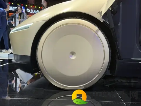 向日葵短视频：短视频世界里的向日葵乐园-1