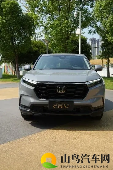 yw爆乳：妖娆身姿，丰满曲线，迷人风采-2