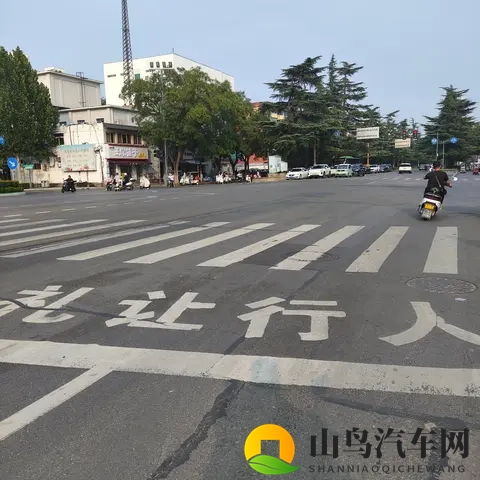 从斑马线礼让行人看路权之争:既是守法也是生存智慧-3