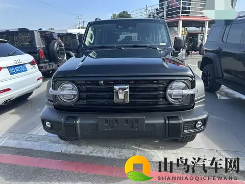 准新一手坦克300,18万多带你征服户外!-2