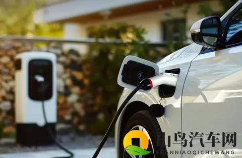 燃油车销量回暖，明年新能源购置税补贴减半后，你选电还是油？-2