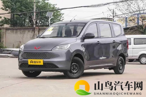 五菱宏光燃油版回归，微面市场再起波澜，用户用脚投票才是硬道理-2