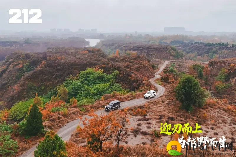 中原砺刃 郑州开野 212 T01柴油版试驾会-1