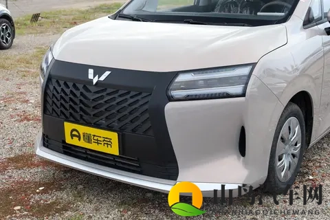 五菱星光730：全家出行好帮手，真7座+三动力+电动滑门-1