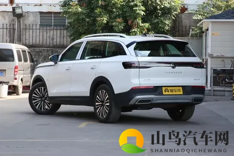 2026款大众揽巡选买指南：直降5万后，这版家用越野双适配-2