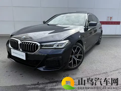 20年上牌的宝马5系，7万公里，25万多，这个价格香吗？-3