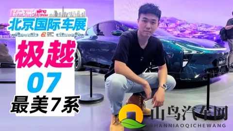 年轻人选择停产车企库存车的消费心理剖析-3